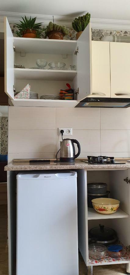 Parkside Apartment بورجومي المظهر الخارجي الصورة